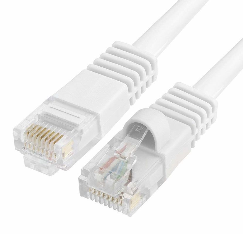 O cabo e os conectores do gato 5 de UTP da rede de cabo de Cat5 5e 6 remendam o cabo nos trabalhos em rede